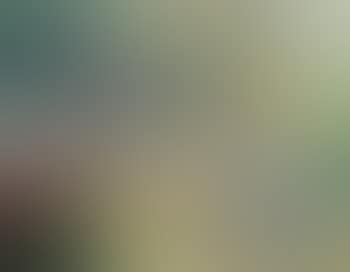 Dame au jardin (preview)