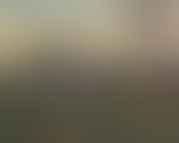 Paysage boise (preview)