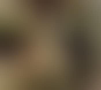 Nude woman seated by tree in forest (preview)