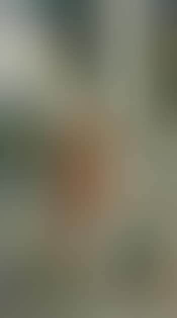 Italian woman playing the lyre (preview)