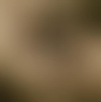 Dog. Horse - in the style of Castiglione (preview)
