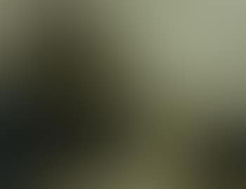 Paysage du midi (preview)