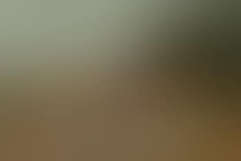 Nesting Grey Partridge in clover (preview)
