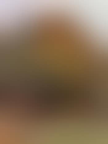 Deer on the outskirts of wood (preview)