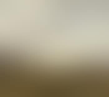Danish landscape with cattle and milkmaid in meadow (preview)