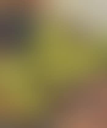 Still life of flowers (preview)