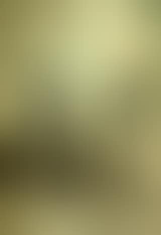 Path (preview)