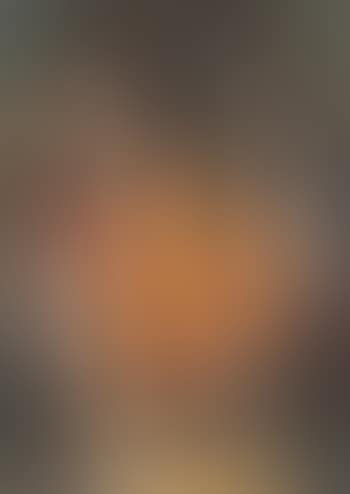 Girl playing the lute (preview)