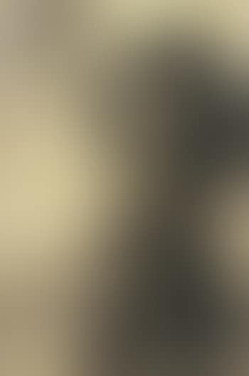 Portrait of a girl in profile, wearing a straw hat (preview)