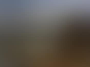 Italian view with steamer and sailing vessels (preview)