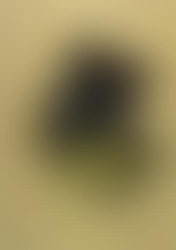 Composition (preview)