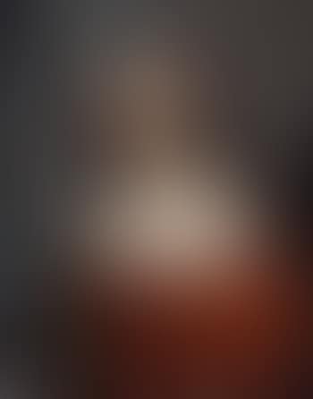 Portrait of lady wearing a orange silk dress (preview)