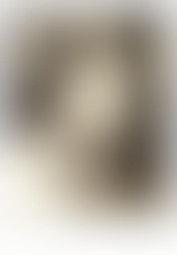 Der asthet (preview)