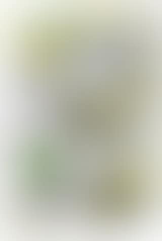 Composition III (preview)