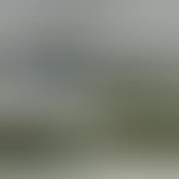 Autumn landscape (preview)