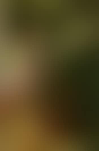 Awelye (preview)