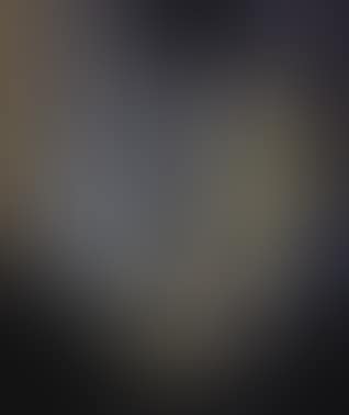 Still life (preview)