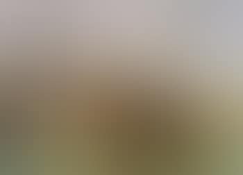 Ditzum harbour (preview)