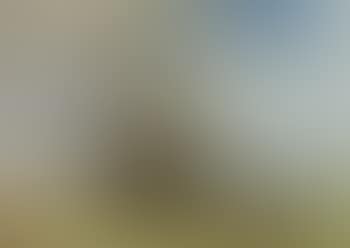 Dutch coastal landscape with sailing boat (preview)