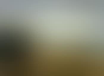 Seascape (preview)
