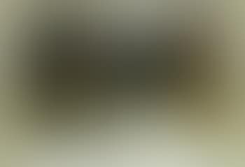 Forest landscape with rabbits (preview)