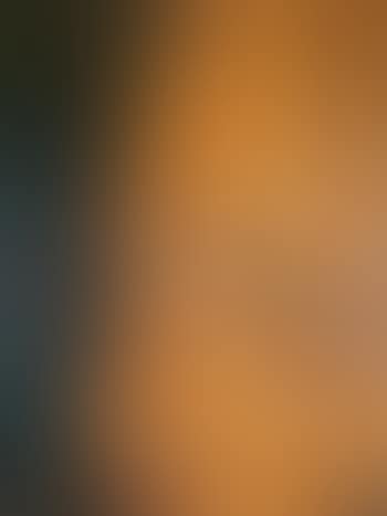 Landscape with Night heron (preview)