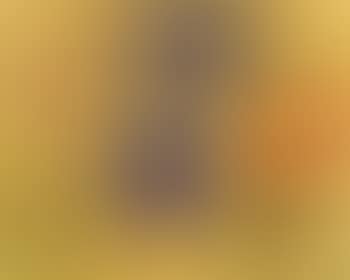 Abstract (preview)