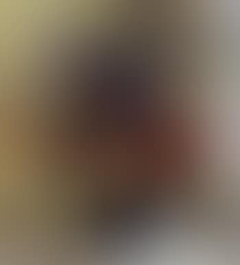 Flowers in vase by a sunlit window (preview)