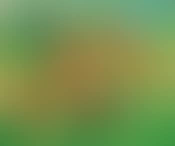 Townscape (preview)