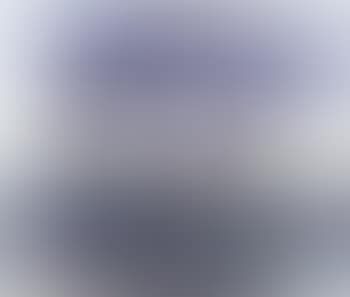 Landscape with crow (preview)