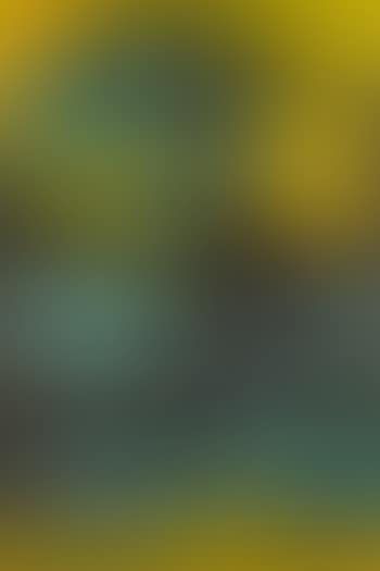 Skin (preview)
