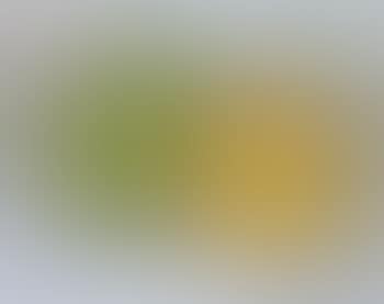 Green and yellow still life (preview)