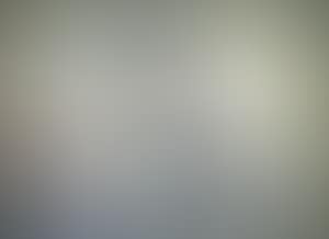Portrait of a woman seated in a chair (preview)