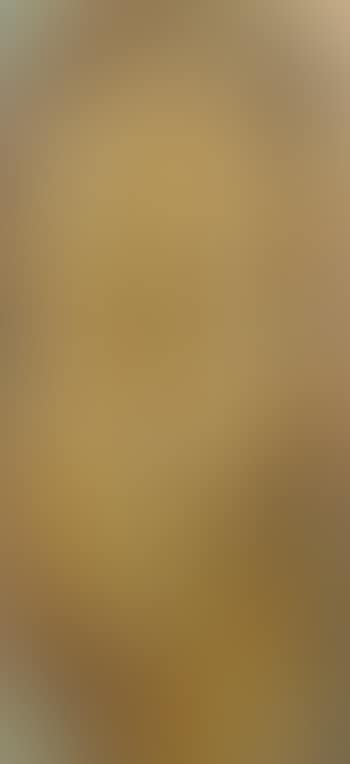 Portrait of Fidelma (preview)