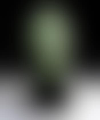 2nd portrait of Dolores (preview)