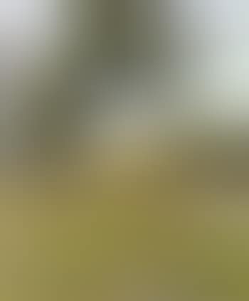 Landscape with distant tower (preview)