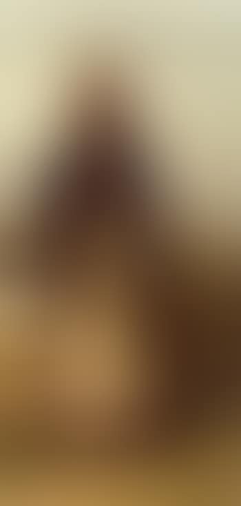 Cotton picker. Field hand (preview)