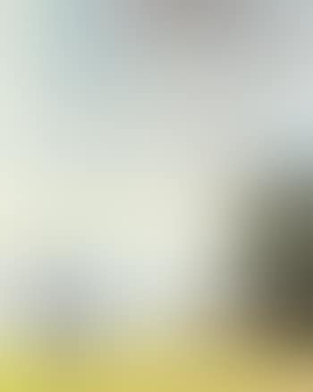 Birch tree and clouds (preview)