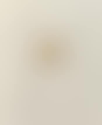 Pink dahlia with orange center (preview)