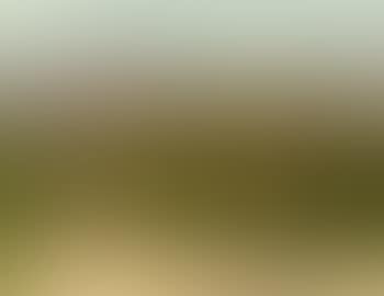 Orvieto (preview)