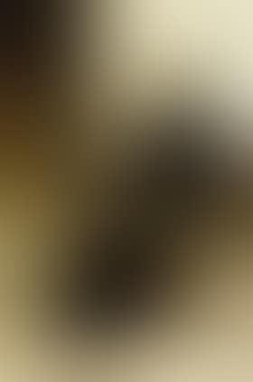 Consolation (preview)