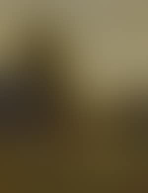 Cattle in a pasture (preview)