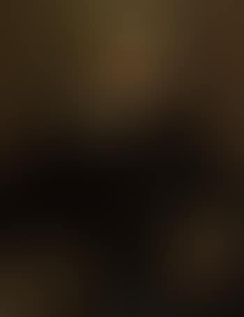 Portrait of a gentleman (preview)