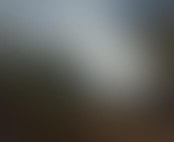 Landscape with horse riders and travellers (preview)