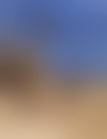 Bedouins in the desert by an oasis (preview)