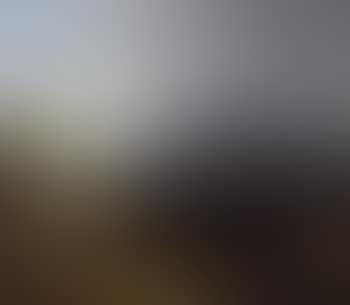 Extensive wooded upland landscape (preview)