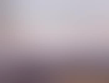 Landscape with windmill (preview)