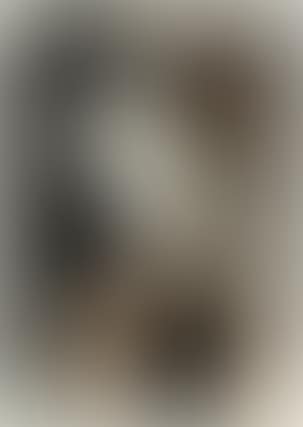 Retrato de una dama (preview)