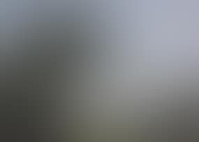Figures near a cornfield, cathedral beyond (preview)