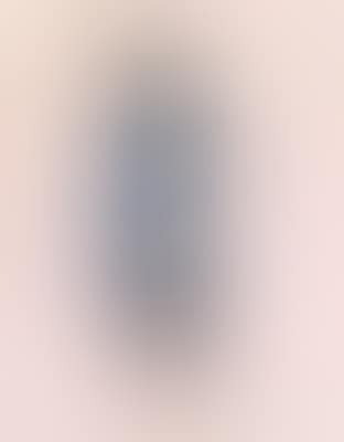 Portrait of Frederick the Great (preview)